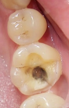 smile-gallery gallery